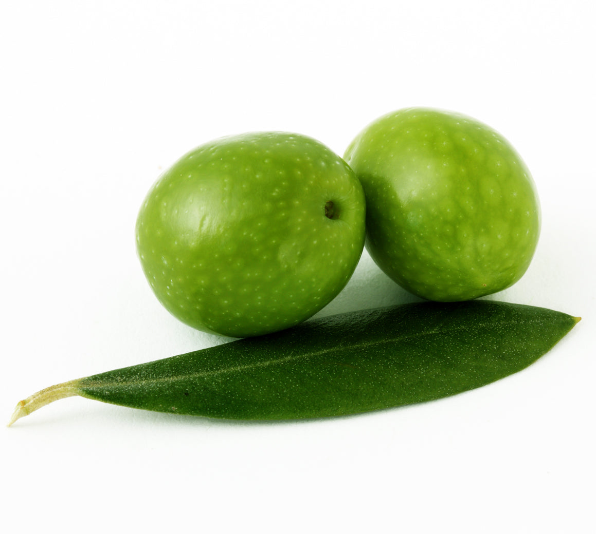 ARBOSANA EVOO (Chile)