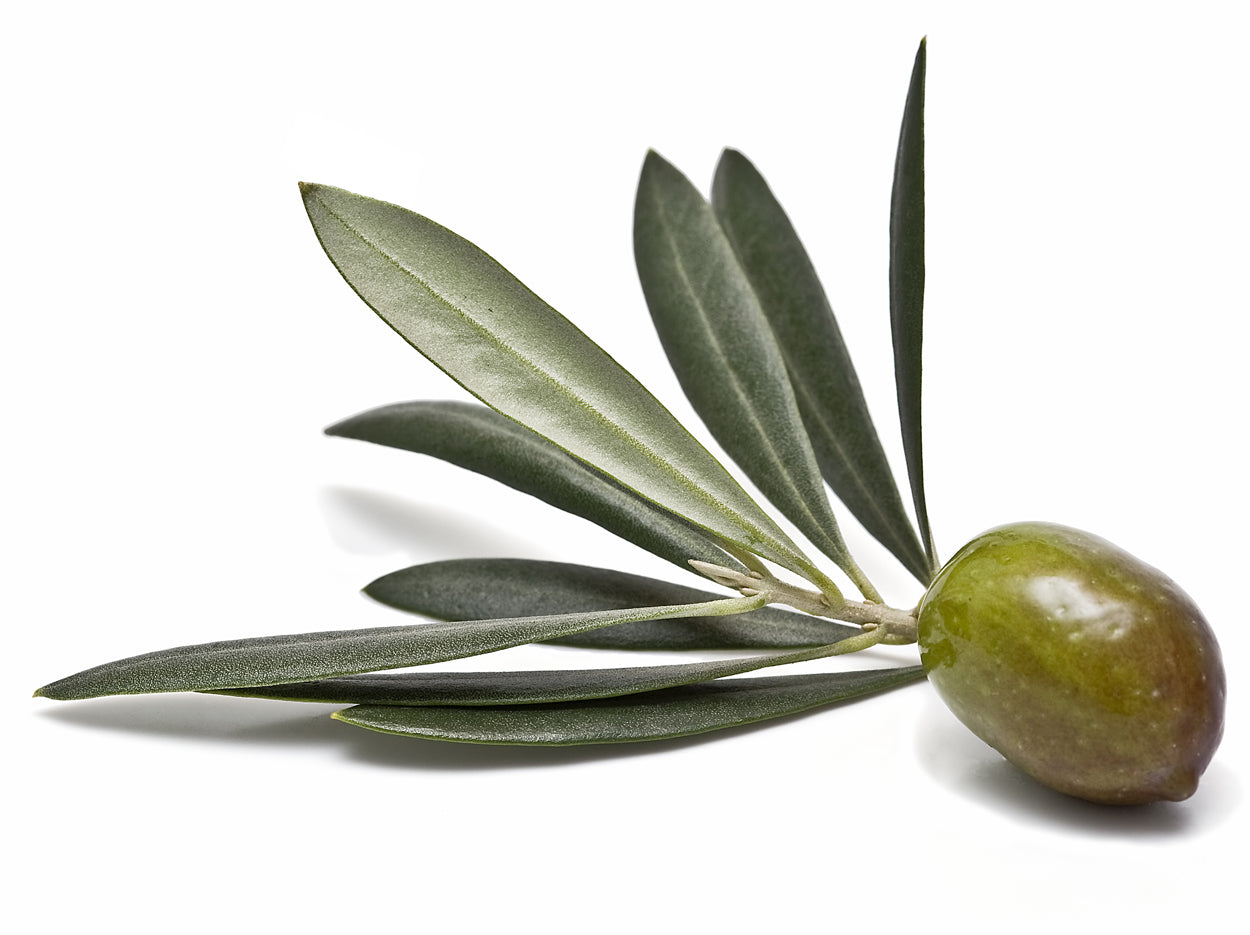 CORNICABRA EVOO (Spain)