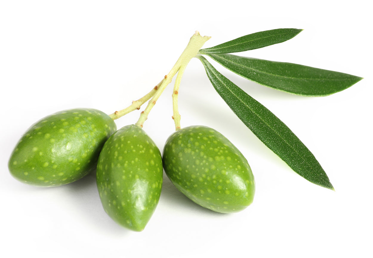 HOLIBLANCA EVOO (Spain)