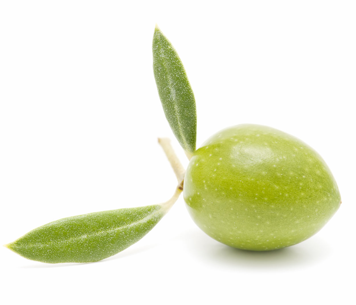 FRANTOIO EVOO (Italy)