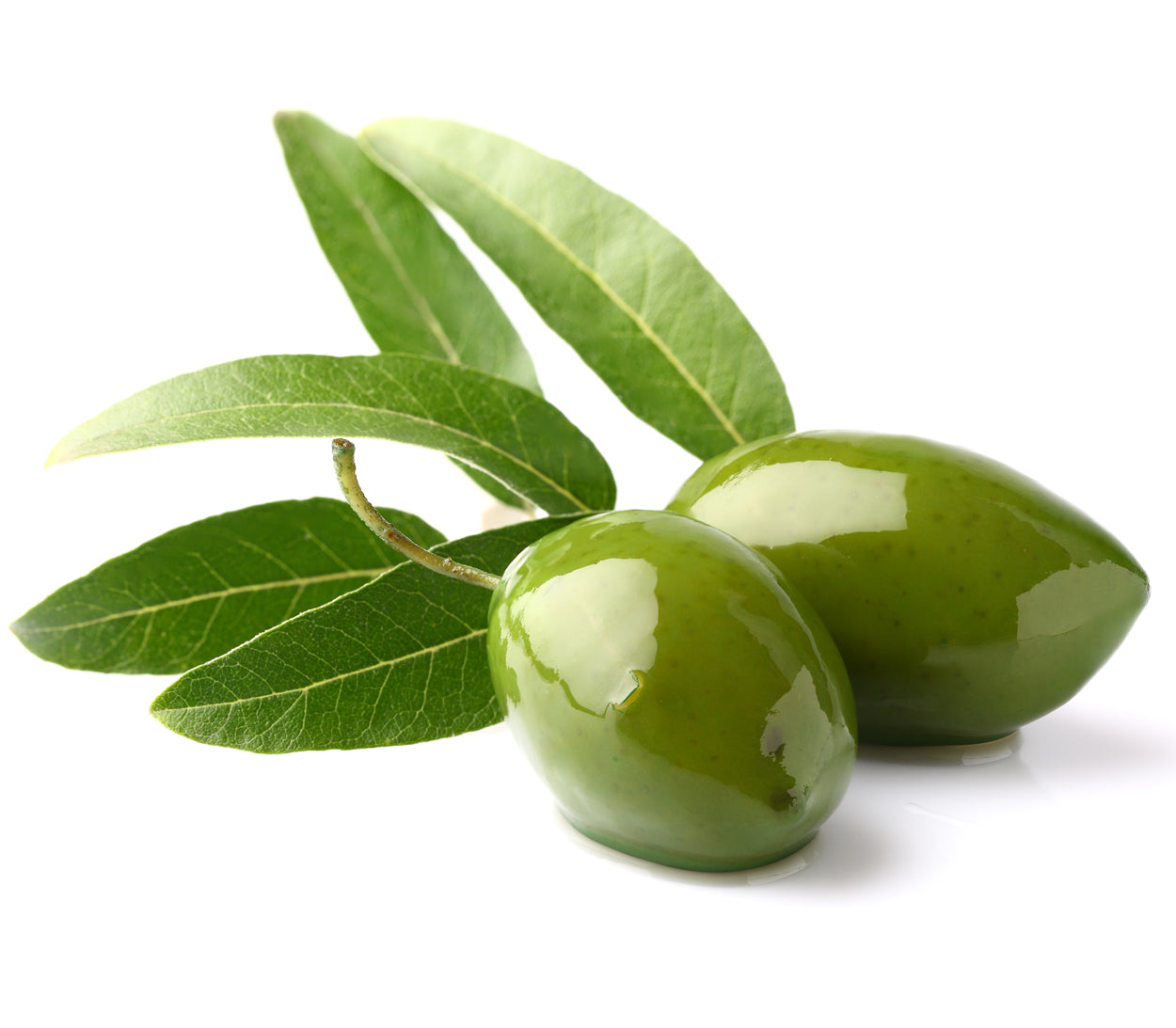 FAMILY RESERVE PICUAL EVOO (Spain)