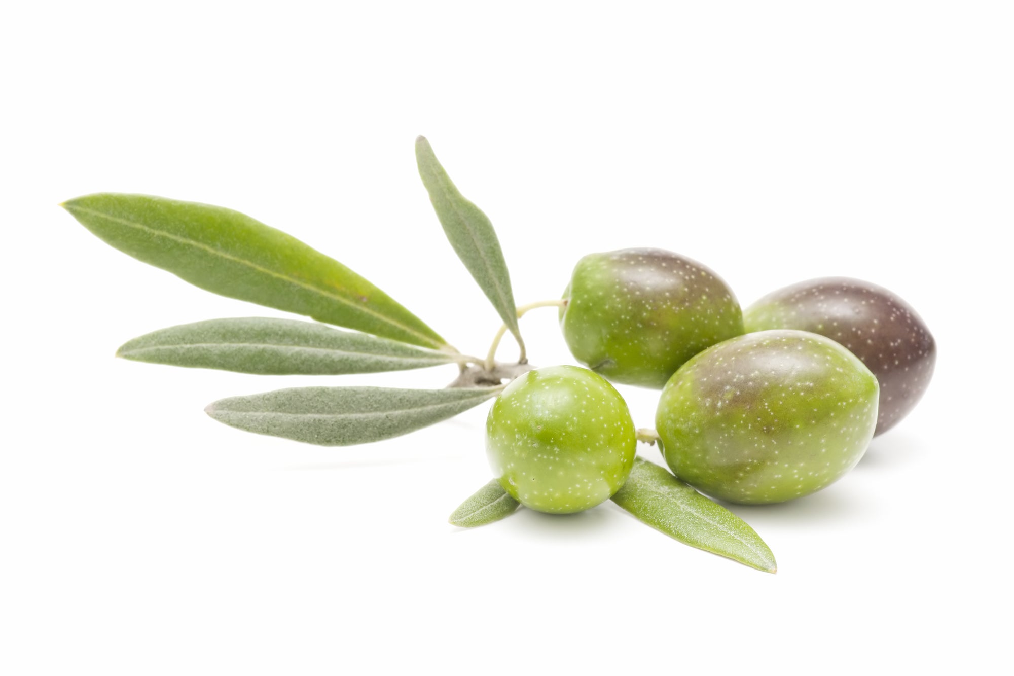 FRANTOIO EVOO (Chile)