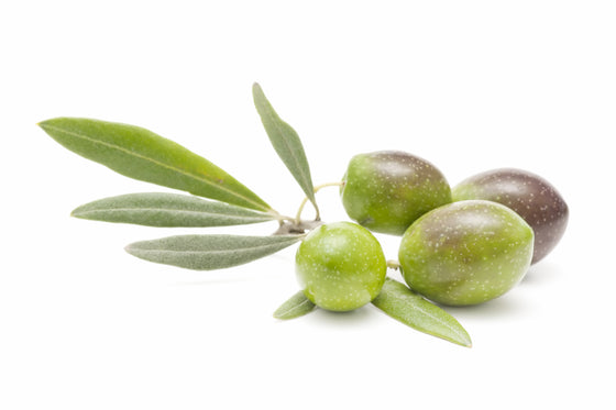 FRANTOIO EVOO (Chile)