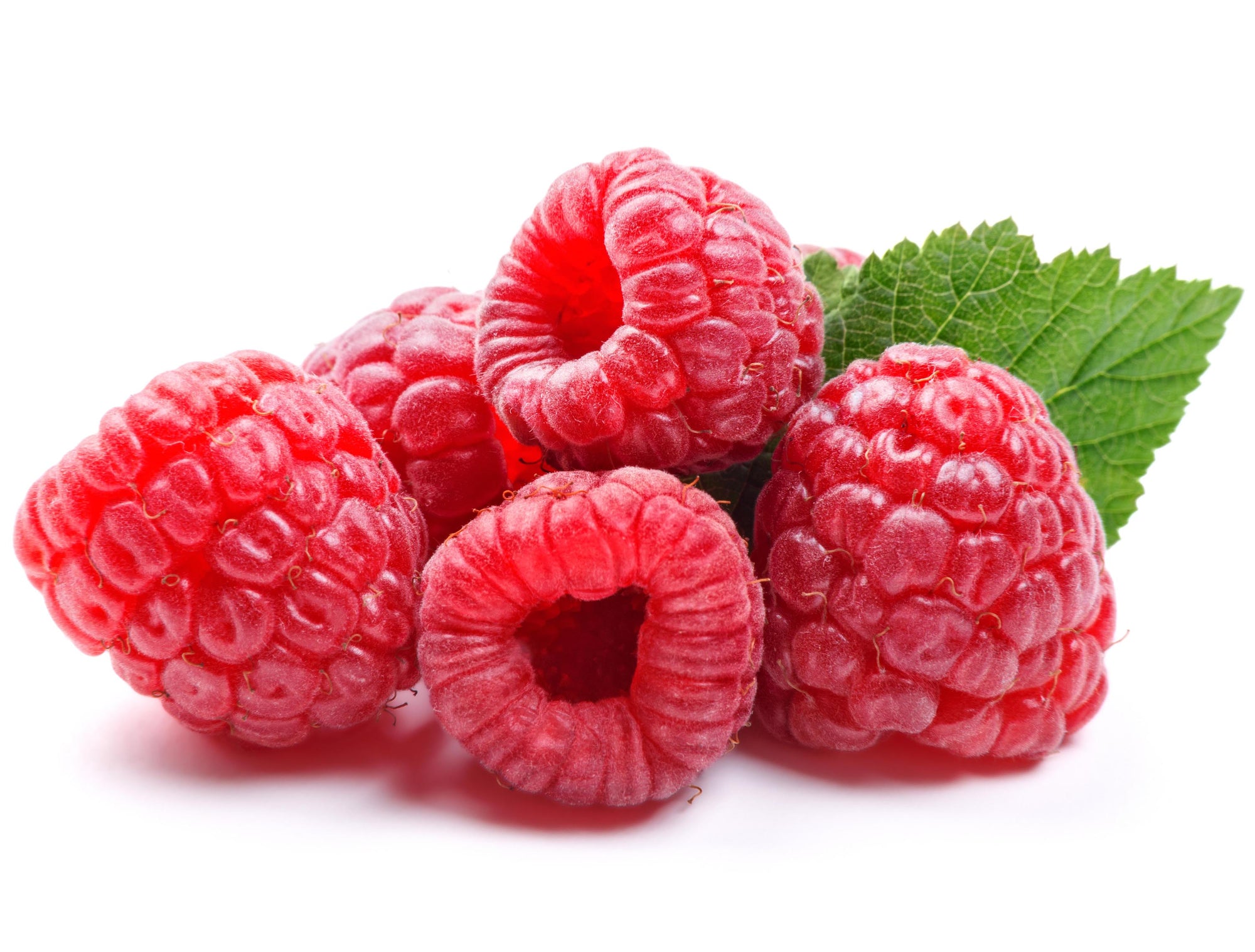 WILD RASPBERRY