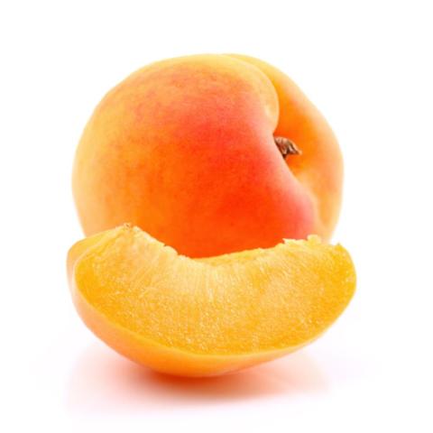 APRICOT