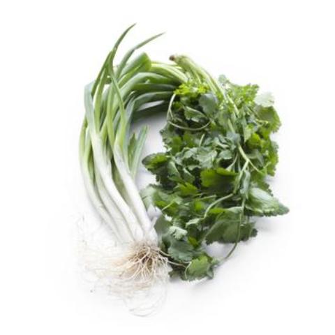 CILANTRO & RED ONION