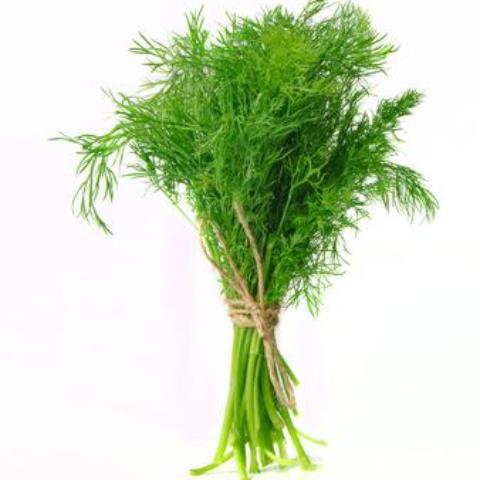 DILL