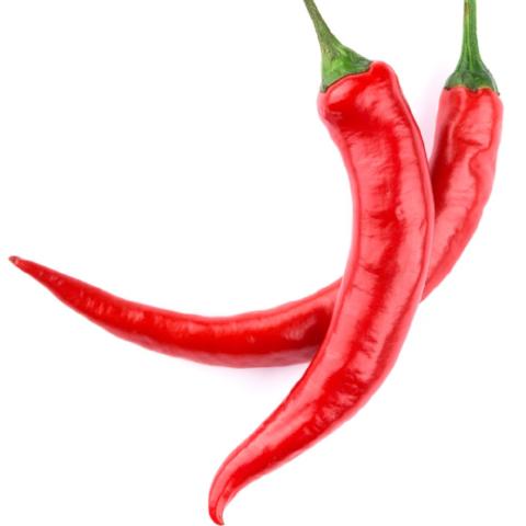 CAYENNE