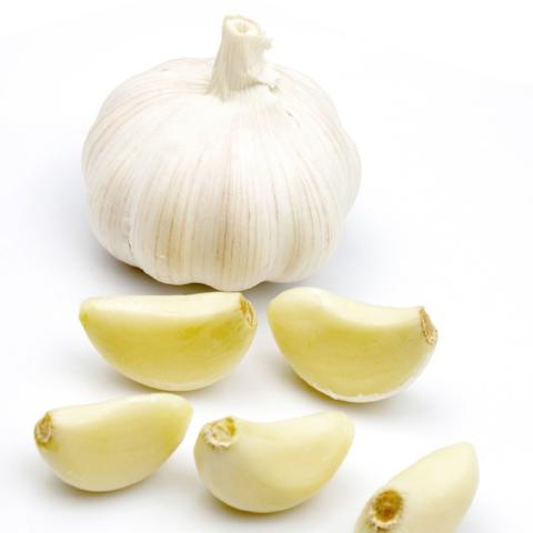 GARLIC olive oil