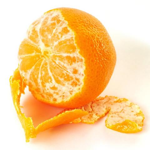 HONEYBELL ORANGE