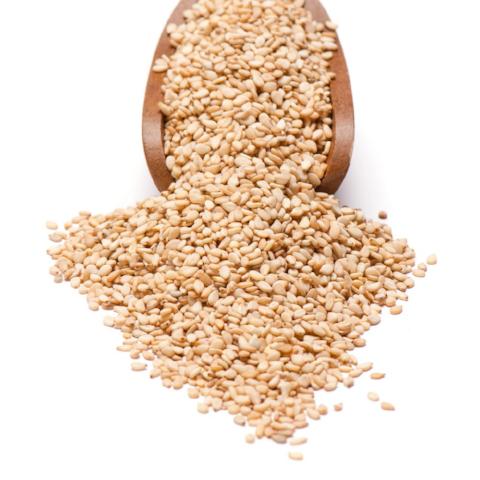 TOASTED JAPANESE SESAME Oil